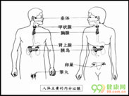 内分泌失调